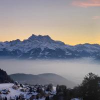 NEW! Private and alpine style single room at 500m to Ski Lifts and Leysin center