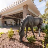 a horse grazing in front of a house at Equus Inn, Ocala