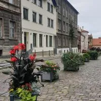 Apartamenty pod Katedrą、ビェルスコ・ビャワのホテル
