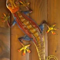 Gecko Cottage Guesthouse, hotel v destinácii Prieska