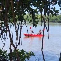 Mangrove Villa Yoga Retreat