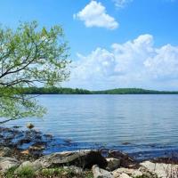 1Min to Percy Priest Lake 2 Masters Quiet Family Home, hotel poblíž Smyrna Airport - MQY, La Vergne
