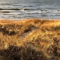 Ragares - the greatest beach house near the Baltic sea, מלון בJūrmalciems