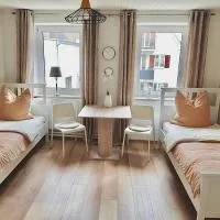 Haus Leipheim، فندق في لايبهايم