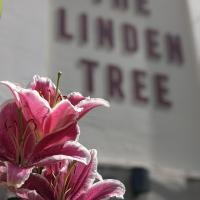 Linden Tree