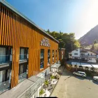 Hotel Ivascu, hotel i Moisei