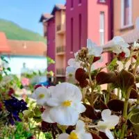 Hotel Casablanca, hotel em Goražde
