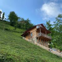 Vadi dağ evi bungalov, hotel in Çamlıhemşin