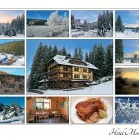 Hotel Modrava, hotel v mestu Modrava