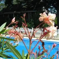 Guest House Westwood, hotel di Kraljevec Kupinečki