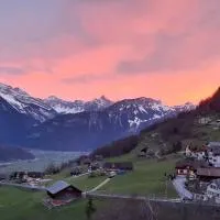 Large Apartment 8beds great for family and friends, Mountain View, hotel in Amden
