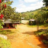 a dirt road in a village with houses and flowers at Alojamiento Rural Café Yarumo, Buenavista