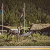 Saltdal Turistsenter、Storjordのホテル