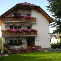 Villa Bellevue, hotel in Waldkappel