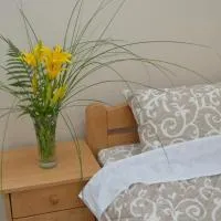 Guest House Konak Iris, хотел в Предеяне