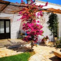 Room in BB - Spacious double room in ancient Masseria near the sea in a quiet olive trees