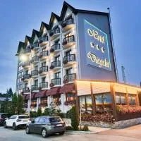 Hotel Dragului, hotel en Predeal