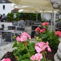 Hotel am Pfahl, hotel a Viechtach