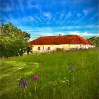 Le Bouyssou, hotel en Cazes-Mondenard
