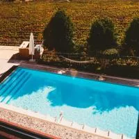 Solar Quinta da Portela - Douro, hotel en Santa Marta de Penaguião