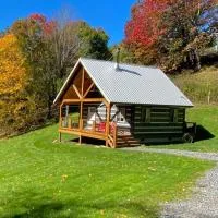 Cozy Cabin Near Grayson Highlands State Park: Whitetop şehrinde bir otel