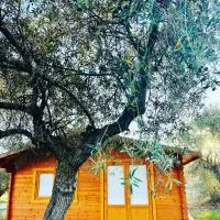 El Bosque de Ribera,Escalona的飯店