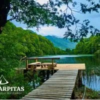 Las Carpitas, hotel i Villa Mascardi