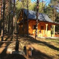 FoRest Inn, Hotel in Trzepieciny