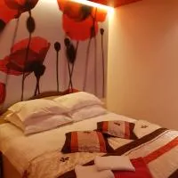 Trumpalaikė buto nuoma,apgyvendinimas - bekontaktis įėjimas, hotel din Rokiškis