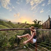 The Valley Tayrona Hostel -A unique nature experience