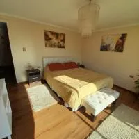 Entre tizones y brujos ( cabaña Maggie), hotel en Olmué