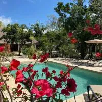 Maya Eco Village, hótel í Akumal