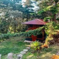 Cabaña Piqueza!, hotelli kohteessa Poás