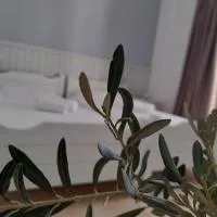 Elia، فندق في سكالا