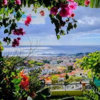 Granny's house view, hotel in: Imaculado Coracao de Maria, Funchal