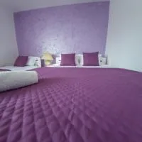 Apartman Kokin Brod, מלון בKokin Brod