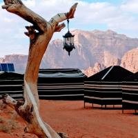 Desert Tree camp&tours