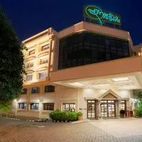 Radha Regent, Chennai, hotel v destinaci Čennaí