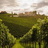 Weinrefugium Brolli, hotell sihtkohas Gamlitz