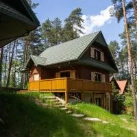 Domek Leśny nad Tanwią, hotel in Koszele