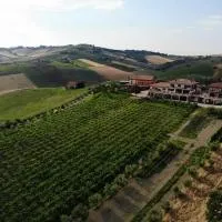 Agriturismo Emidio Pepe, хотел в Torano Nuovo