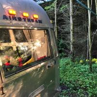 Airstream Woodland Escape