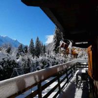 Chalet Falcon With Hot Tub - great location for Grand Montets lift - Ski until May 5th