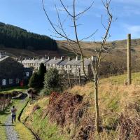 Yr Hen Siop - 4 bed welsh cottage in Snowdonia