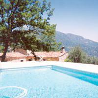 Un Mas en Provence, sa piscine & son oliveraie