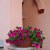 Le Petit Coin De Maison Chante Lune, hotel u gradu Introd