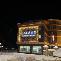 Balsoy Mountain Hotel, hotel in Erzurum