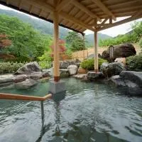 Shogawa Onsen Yumetsuzuri, מלון בTonami