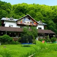 Pensiunea Valea Negrasului, hotel Trăisteniben