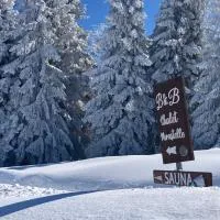 Chalet Mirastelle，普雷托羅的飯店